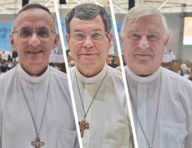 Bispos catarinenses elegem a nova presidência do Regional Sul 4 da CNBB