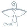 CNBB Sul 4